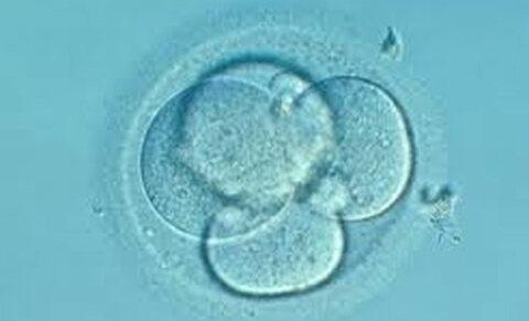 PROCREATION MEDICALEMENT ASSISTEE