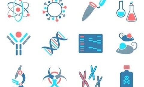 Tests chromosomiques sur les embryons conçus in vitro pour éviter une fausse couche ?