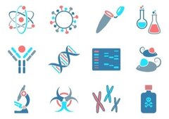 Tests chromosomiques sur les embryons conçus in vitro pour éviter une fausse couche ?