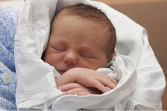 Un seul Australien qui sauve 2 millions de bébés
