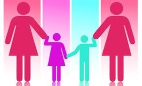 Une loi réservant la PMA aux cas d’infertilité pathologique discrimine-t-il les femmes homosexuelles