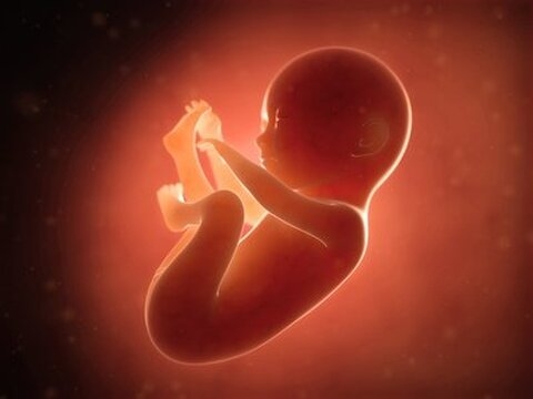 L’avortement devient possible jusqu’à la naissance dans l’Etat de New York