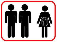 CEDH : pas obligatoire de transcrire à l’état civil l’acte de naissance d’un enfant porté par autrui