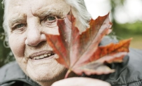 Death by Request in Switzerland: Post-traumatic stress disorder and complicated grief after witnessing assisted suicide