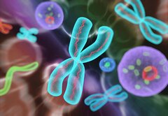 Faut-il lier les contrats d’assurances à des tests génétiques ?