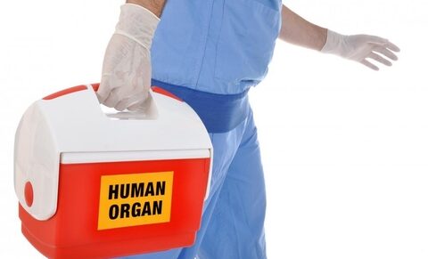 La Belgique renforce la pénalisation du trafic d’organes humains