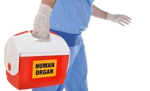 Le don d’organes après euthanasie : les chiffres parlent