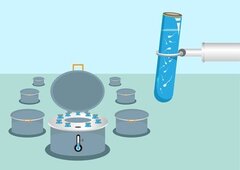 L’Etat affecte chaque année 4 millions d’euros à la congélation des gamètes