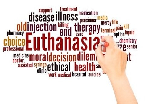 Pays-Bas : la banalisation de l’euthanasie empêche l’accompagnement global du patient