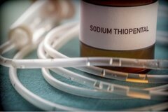 Pourquoi le nombre d’euthanasies augmente-t-il aux Pays-Bas ?