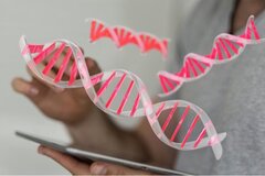 Que veulent faire les Belges de leurs informations génétiques ?