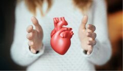 Don d’organes post mortem : l’Angleterre et les Pays-Bas passent au consentement présumé