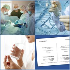 Dossiers et Flash-Experts IEB 2020