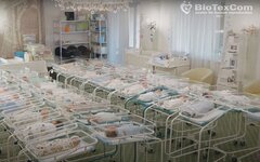 GPA : la crise sanitaire révèle les failles d’un marché mondialisé