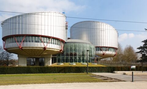 La pratique des mères porteuses devant la Cour européenne des droits de l'homme