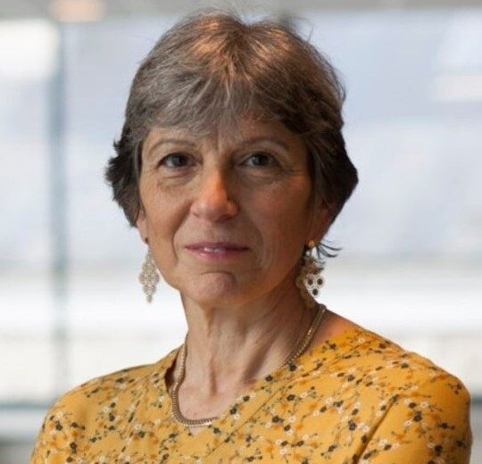 Laura Rizzerio (UNamur) : « Le coronavirus nous fait comprendre que nous ne pouvons exister que dans l’interdépendance »