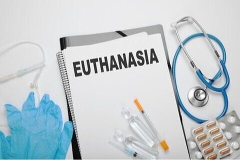 Les réserves du Conseil d'Etat sur la nouvelle loi « euthanasie »