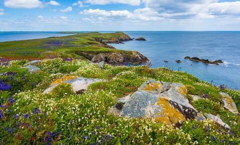 Irlande : l'euthanasie à nouveau rejetée par le Parlement