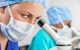 The International Society for Stem Cell Research Drops the 14-day Limit on Human Embryo Research