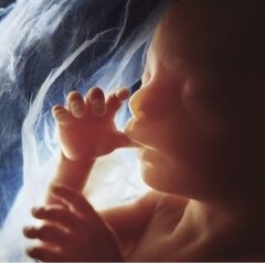 Avortement en Belgique : beaucoup de questions demeurent après l’audition du comité interuniversitaire chargé de son évaluation