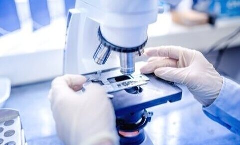 « Modèles embryonnaires » : la course des chercheurs pour reproduire le développement d’un embryon humain