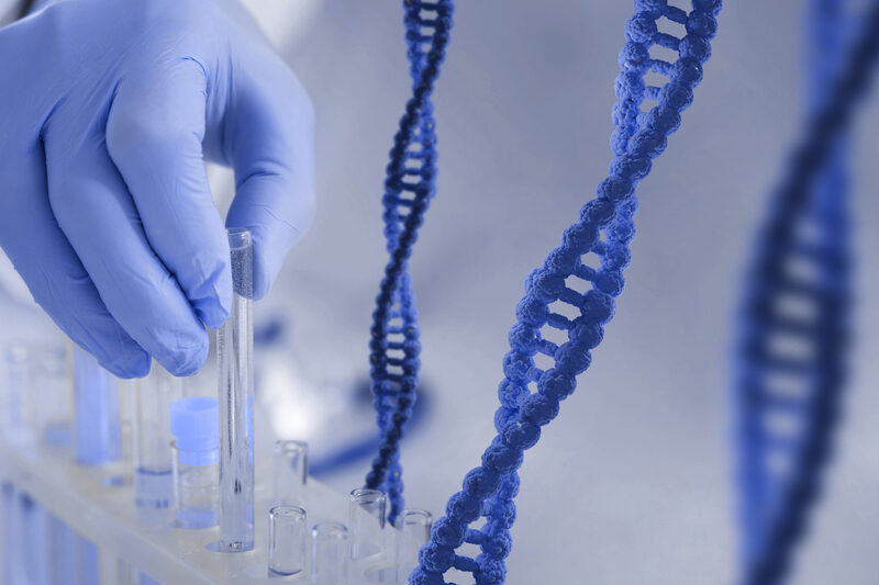 Naissance d’un bébé à trois ADN au Royaume-Uni : traitement ou expérimentation ?