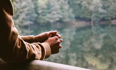 Shanti, décédée par euthanasie mais considérée comme victime d’un « assassinat terroriste »