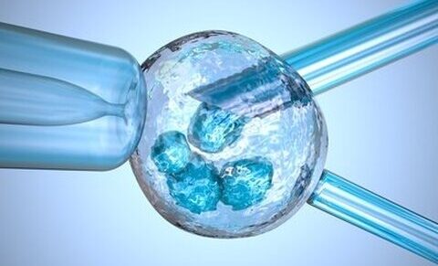 Assisted reproduction: a study reveals a psychological impact on children born from gamete donation
