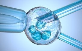 Assisted reproduction: a study reveals a psychological impact on children born from gamete donation