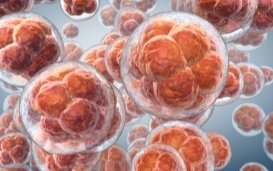 Cryopreservation of embryos: Study highlights ethical issues involved in their preservation and inevitable destruction