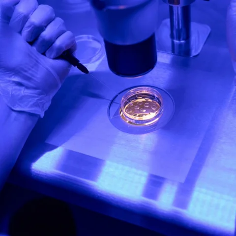 European AMP scandal linked to a donor carrying a cancer-causing gene