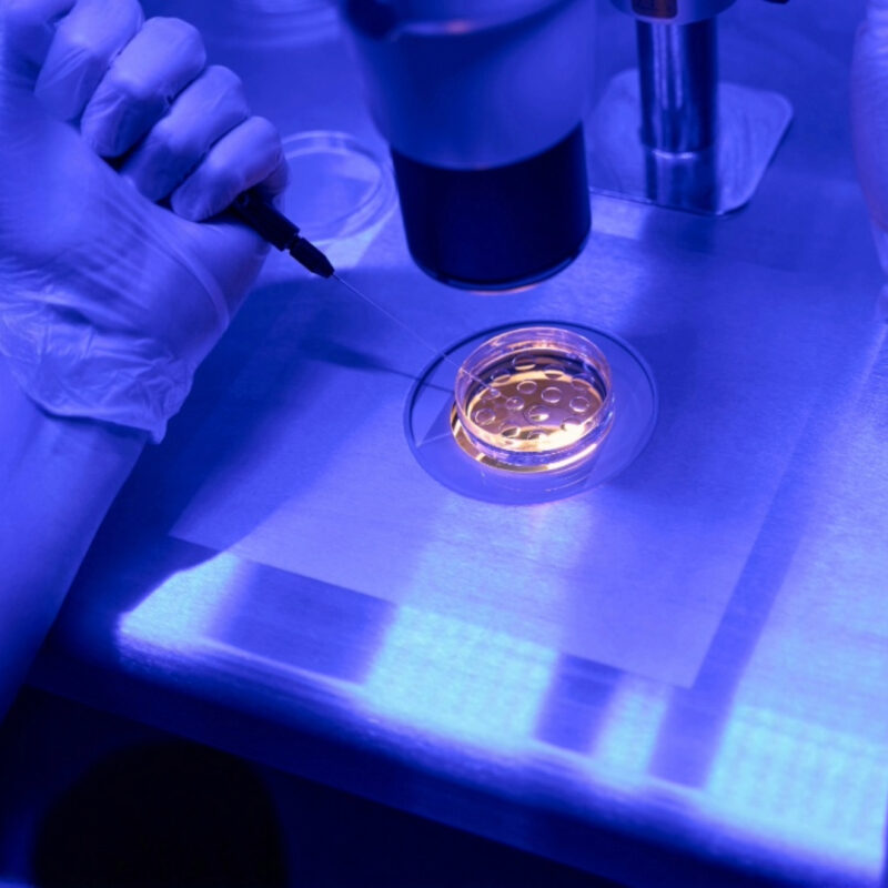 Europees schandaal rond kunstmatige voortplanting in verband met een donor die drager is van een kankerverwekkend gen : hoe ver moet de controle op gameten gaan zonder in eugenetica te vervallen?