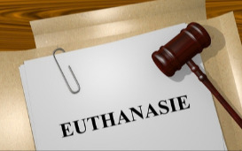Euthanasia in Ontario: over 400 breaches of the euthanasia law result in only reminders of the law