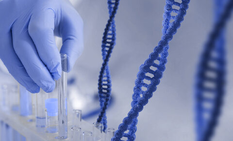 Fécondation in vitro automatisée : l’IA réinvente la procréation, non sans risque