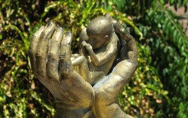 In Nederland heeft de opening van een foetale biobank geleid tot een golf van donaties van foetaal weefsel na abortus