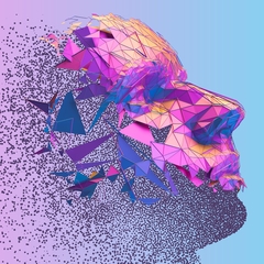 Donating one’s face after euthanasia: when death on demand turns the body into a resource  