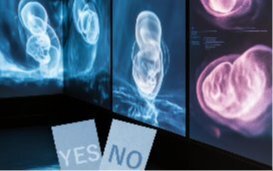 From embryo screening to eugenics: how private companies circumvent national legislation  