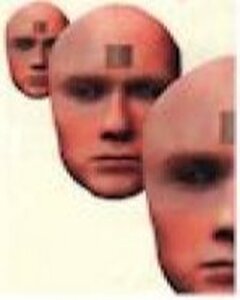 Réflexions sur le clonage humain