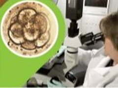 Les thérapies régénératrices par cellules souches