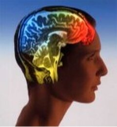 A propos de la « mort cérébrale »