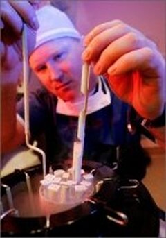 Congélation, implantation, adoption d’embryons