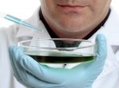 Avis n° 52 : tissus et cellules humains utilisés / PMA