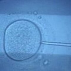 Fiche didactique - Diagnostic préimplantatoire