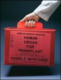 Fiche didactique - Don d'organe