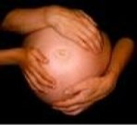 Fiche didactique - Gestation pour autrui