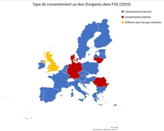 Texte législatif - Cartographie - Don d'organe et type de consentement (UE 2019)