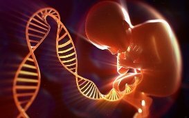 Détecter les anomalies des chromosomes sexuels avant la naissance : le Comité Consultatif de Bioéthique de Belgique émet de fortes réserves