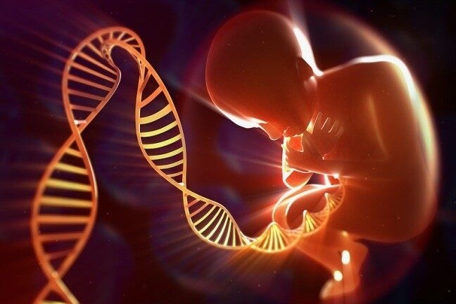 Détecter les anomalies des chromosomes sexuels avant la naissance : le Comité Consultatif de Bioéthique de Belgique émet de fortes réserves