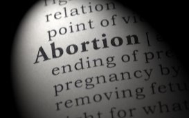 Het gebruik van woorden in de bio-ethiek