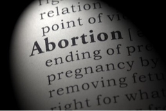 Het gebruik van woorden in de bio-ethiek